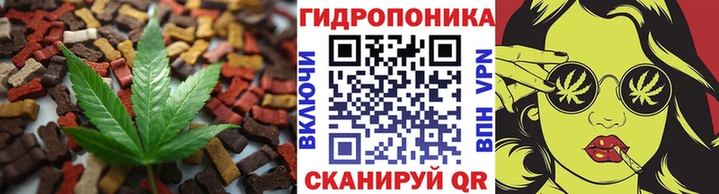 ОМГ ОМГ ссылка  продажа наркотиков  Волхов  дарк нет телеграм  Cannafood марихуана 