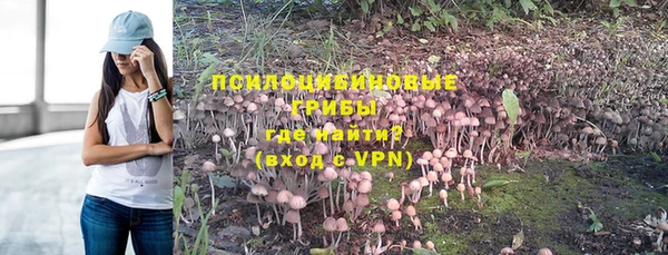 apvp Армянск