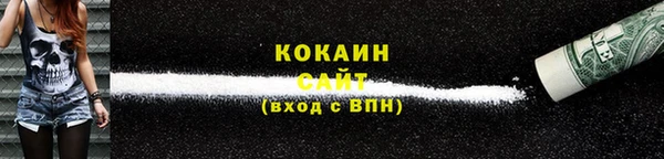 дживик Алзамай
